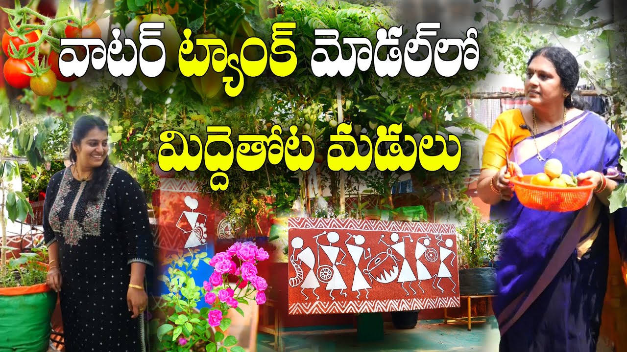 ఇంత గార్డెన్ ఉంటే ప్రతి #Harvest కి కిలోల కొద్ది పండ్లు, కూరగాయలు | #TerraceGarden | Ramadevi