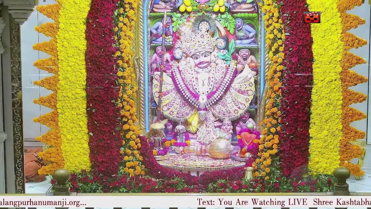 Sandhya Aarti Darshan Salangpur Date 03 11 2024