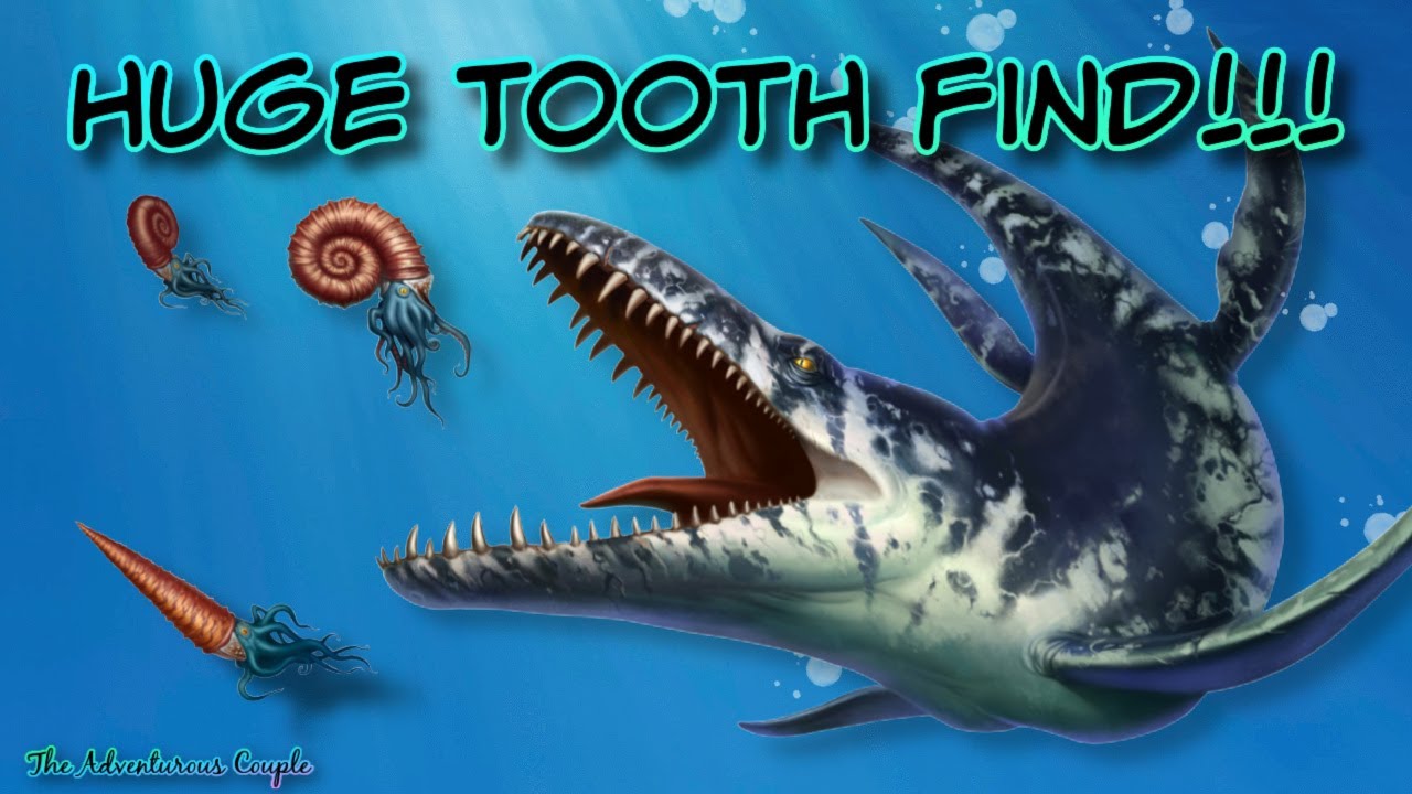 The NEW Ladonia Fossil Park | HUGE tooth!!!   🦕         #FossilTeeth