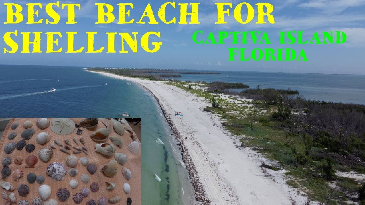 BEST Shelling Beach! / Captiva island Florida / seashell collecting paradise / travel / fun vacation