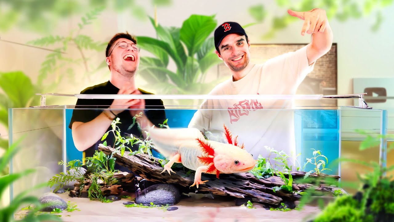 On Réalise un Paradis pour AXOLOTLS (avec @DrNozman )