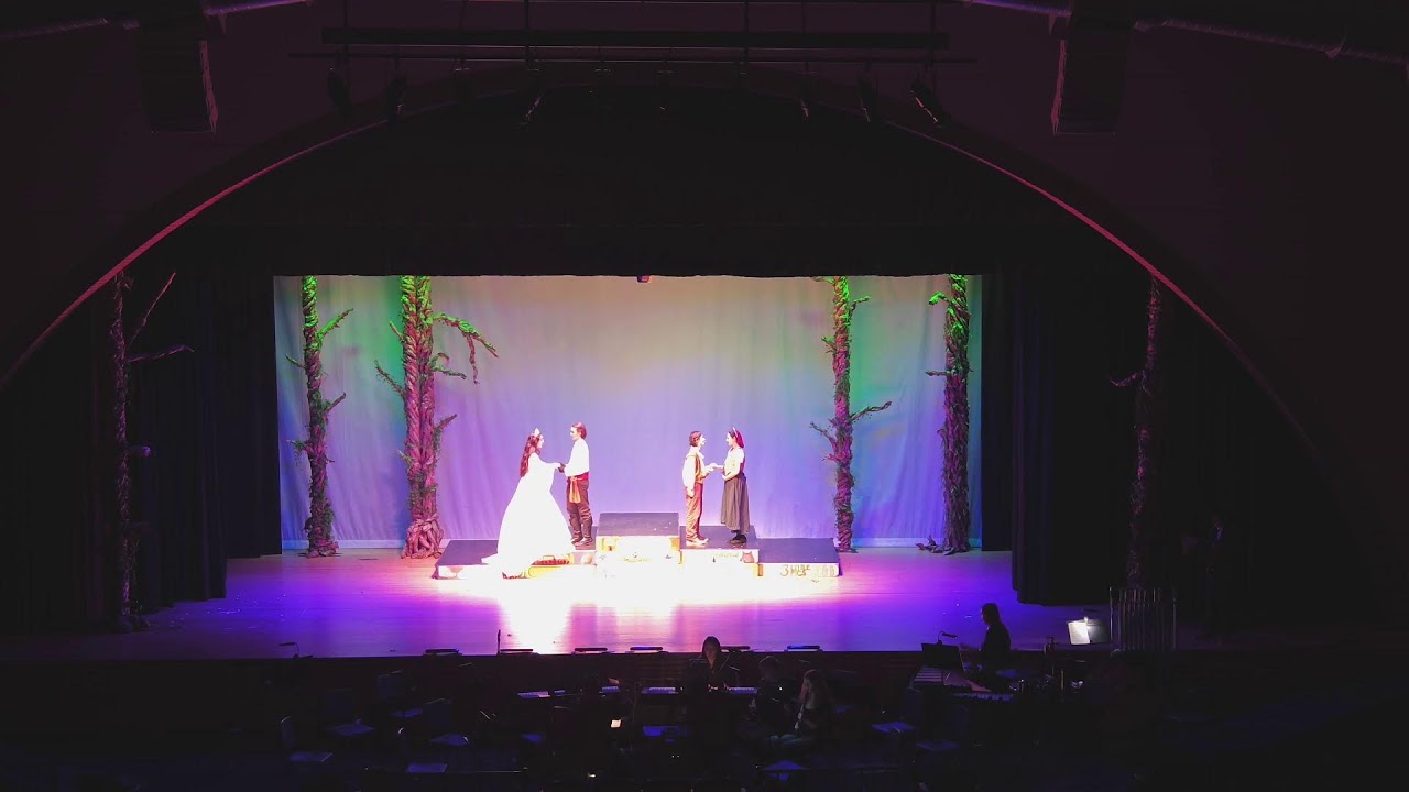 INTO THE WOODS PREVIEW