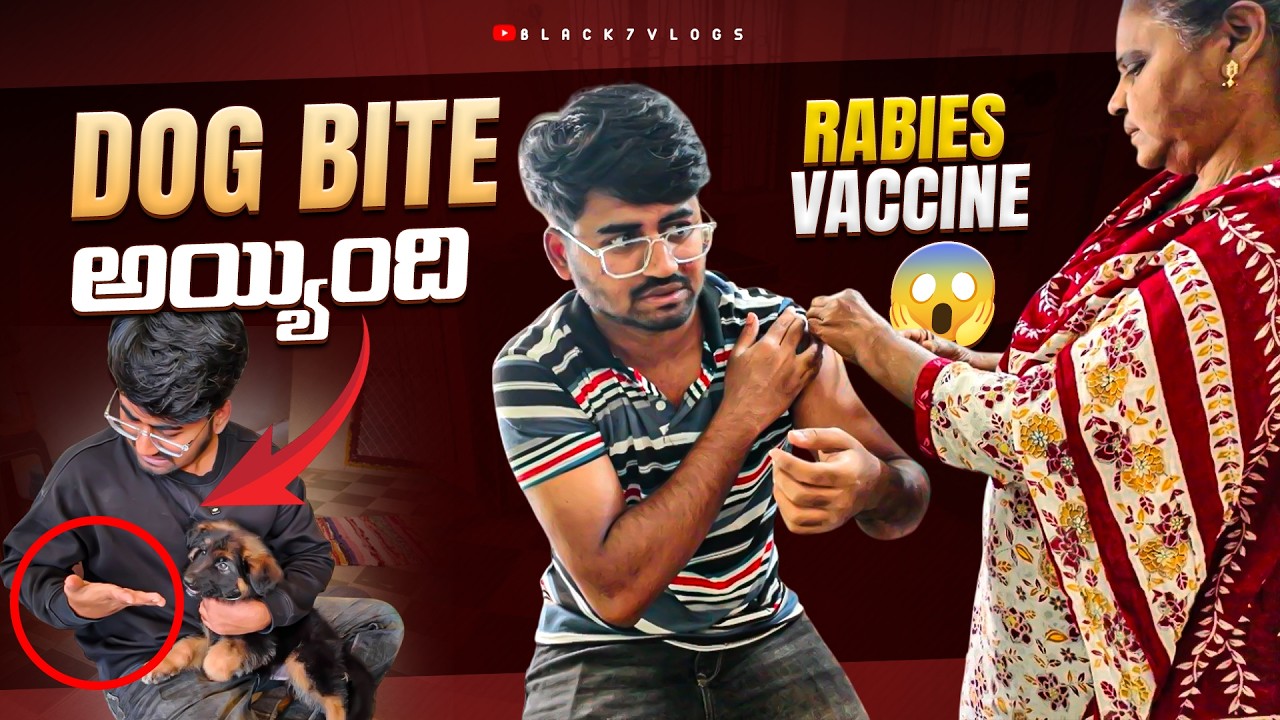 నా German Shepherd Puppy DOG BITE అయ్యింది 😳 | Rabies Vaccine తీసుకున్నా 💉