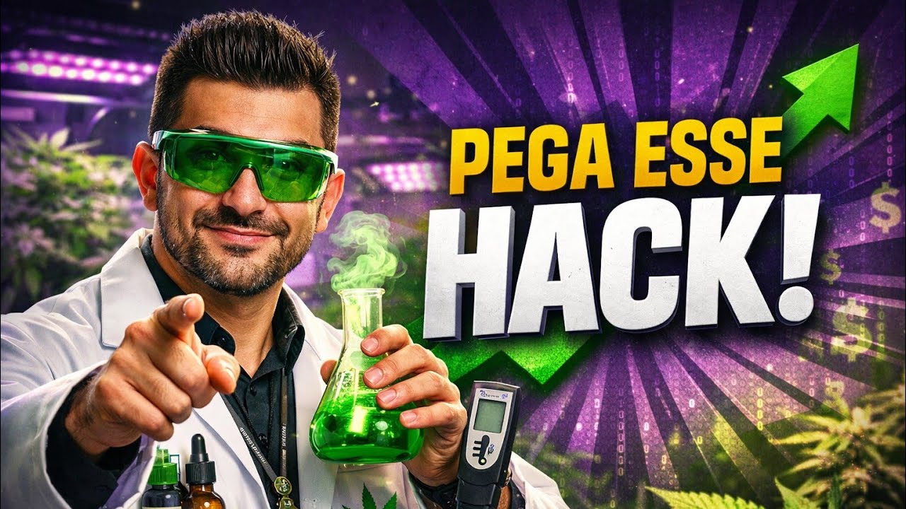 Mais um HACK in&uacute;til de cultivo