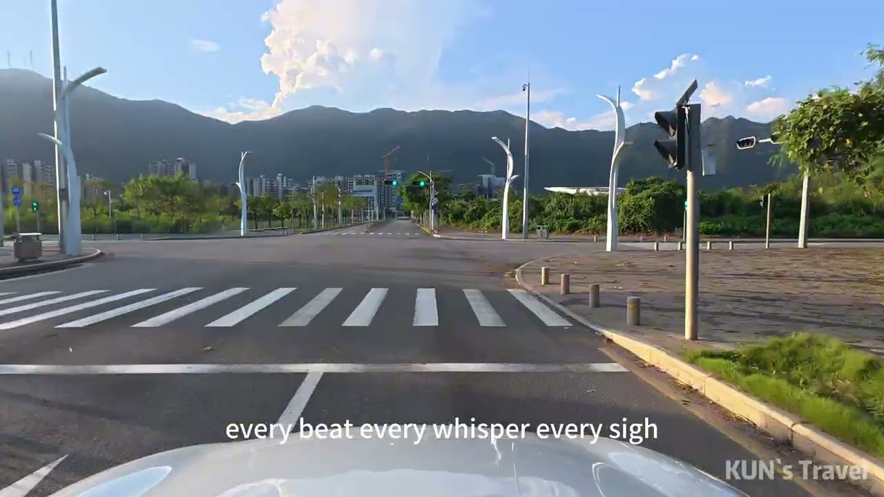 在路上 | 中国深圳高速公路 坝光 到 莲塘口岸