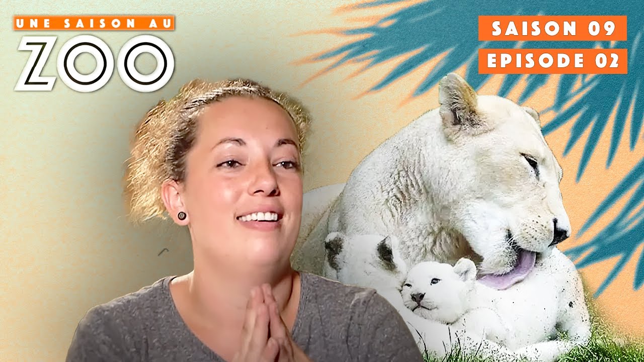 Zoo de La Flèche : Retour sur les temps forts des premières saisons | S09 EP02 | Une Saison Au Zoo