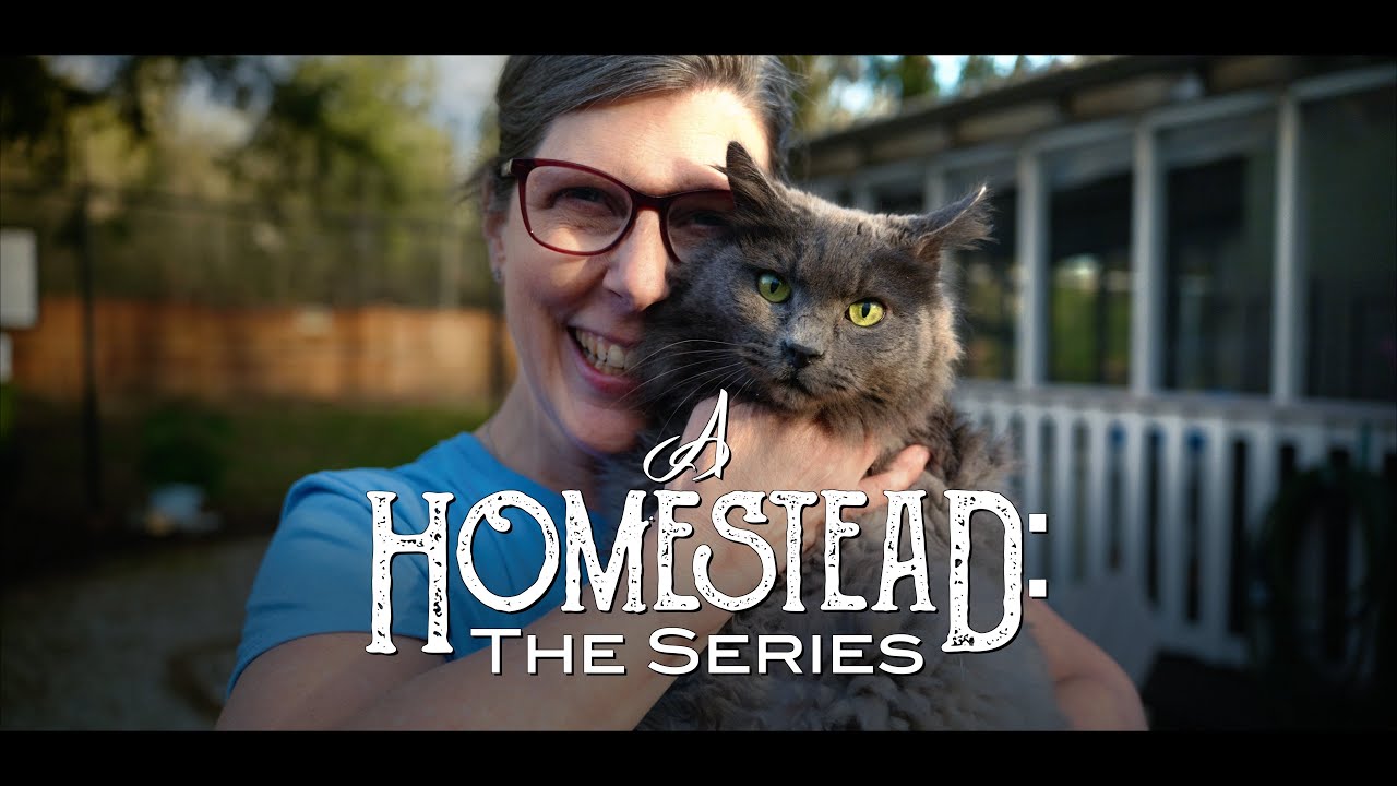Adopting Feral Barn Cats ft. Katie’s Place Animal Shelter