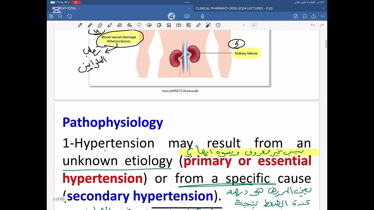 Clinical Pharmacy/4th stage /Hypertension part1