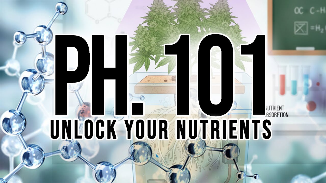 Unlock Your Nutrients PH 101 Understanding Hydroponic Nutrient Lockout And PH Maintenance
