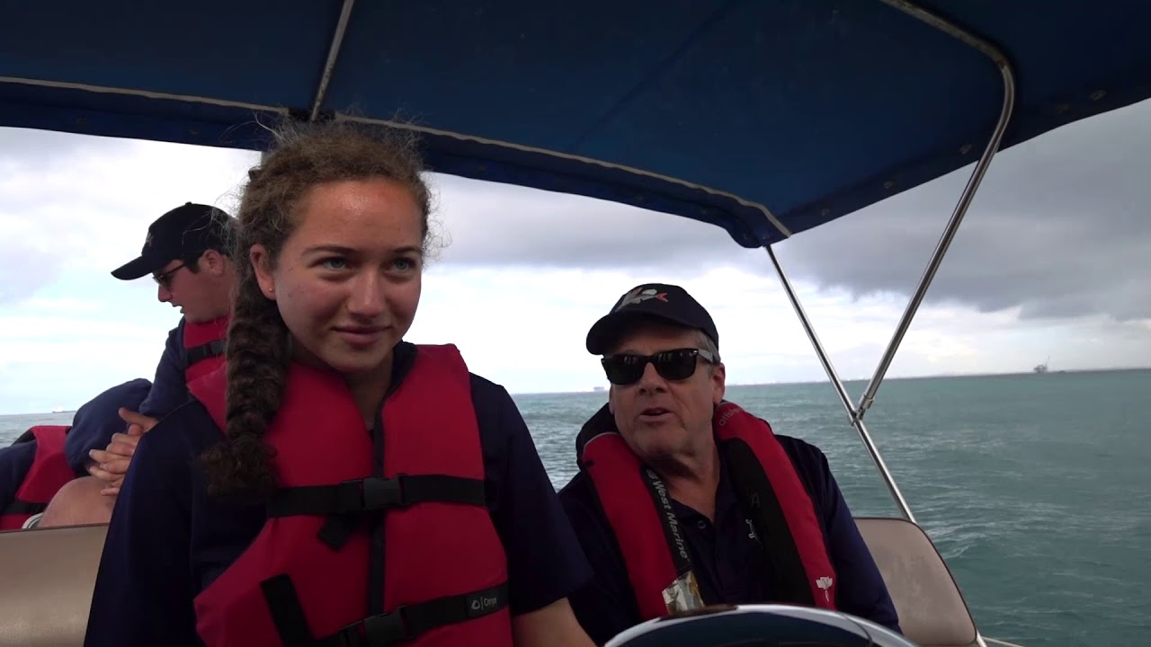 This Is Sea Scouts!