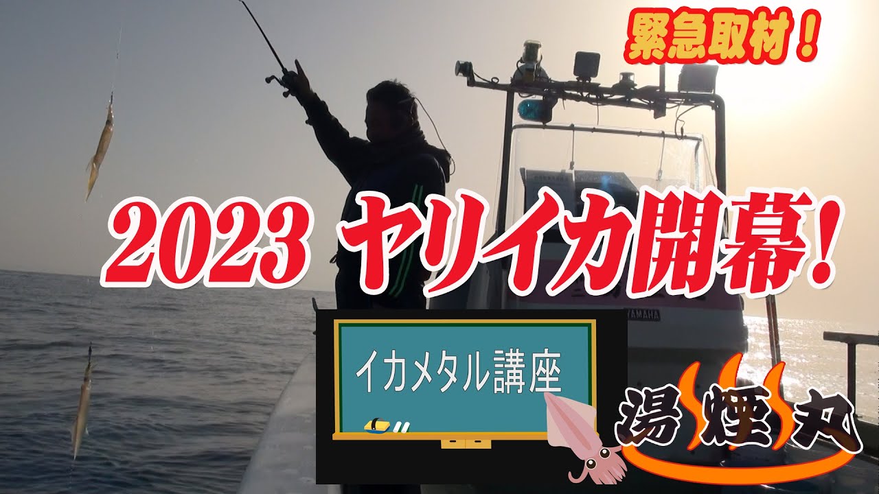 緊急取材　2023 仙台湾にヤリイカ来てま～す、だ～か～ら～即日配信！