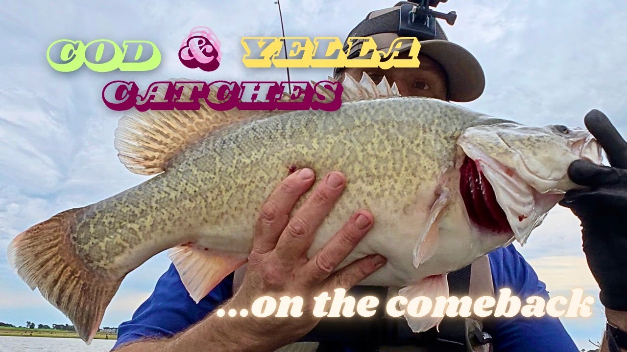 Cod and Yella возвращаются на сцену
