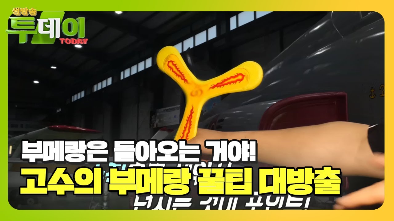 부메랑을 제대로 날리기 위한 고수의 3가지 꿀팁★ #생방송투데이 #LiveToday #SBSstory