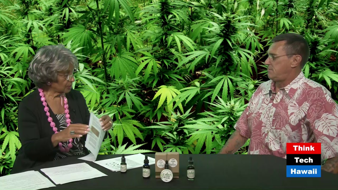 Cannabis A 10,000 Year Odyssey