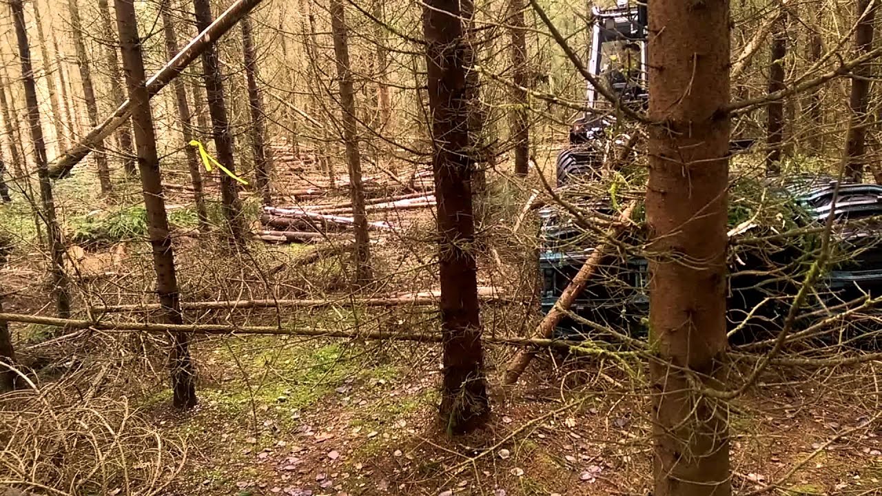Malwa 560C with Log Max 928 and Log Mate 500 control system