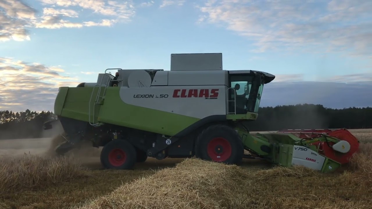 Żniwa 2022 - Claas Lexion 550