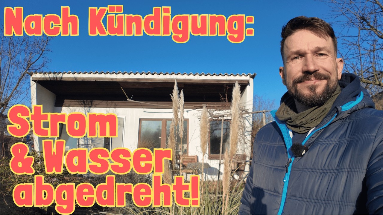 Berlin-Kleingarten komplett verwildert? Mein ehrliches Update!