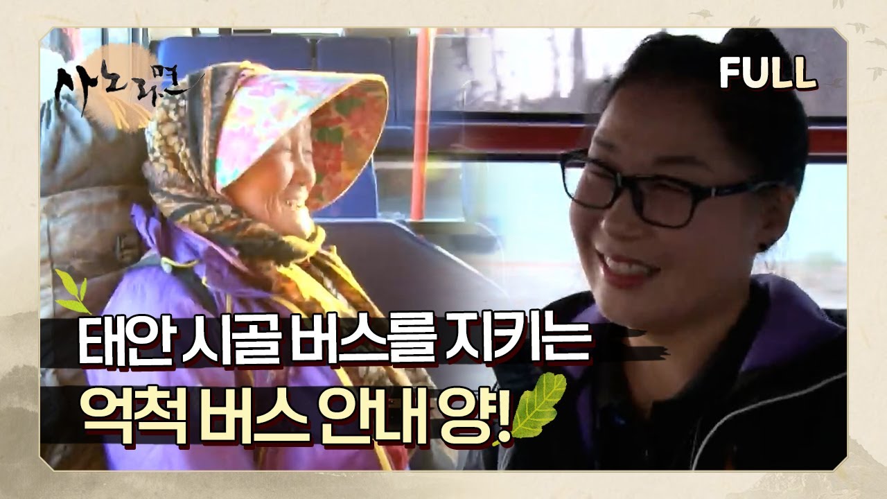 [사노라면] (full영상) 태안 시골 버스를 지키는 억척 버스 안내양!