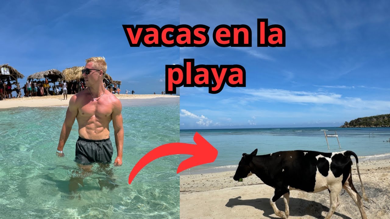 Visité Punta rucia y cayo arena en República Dominicana.