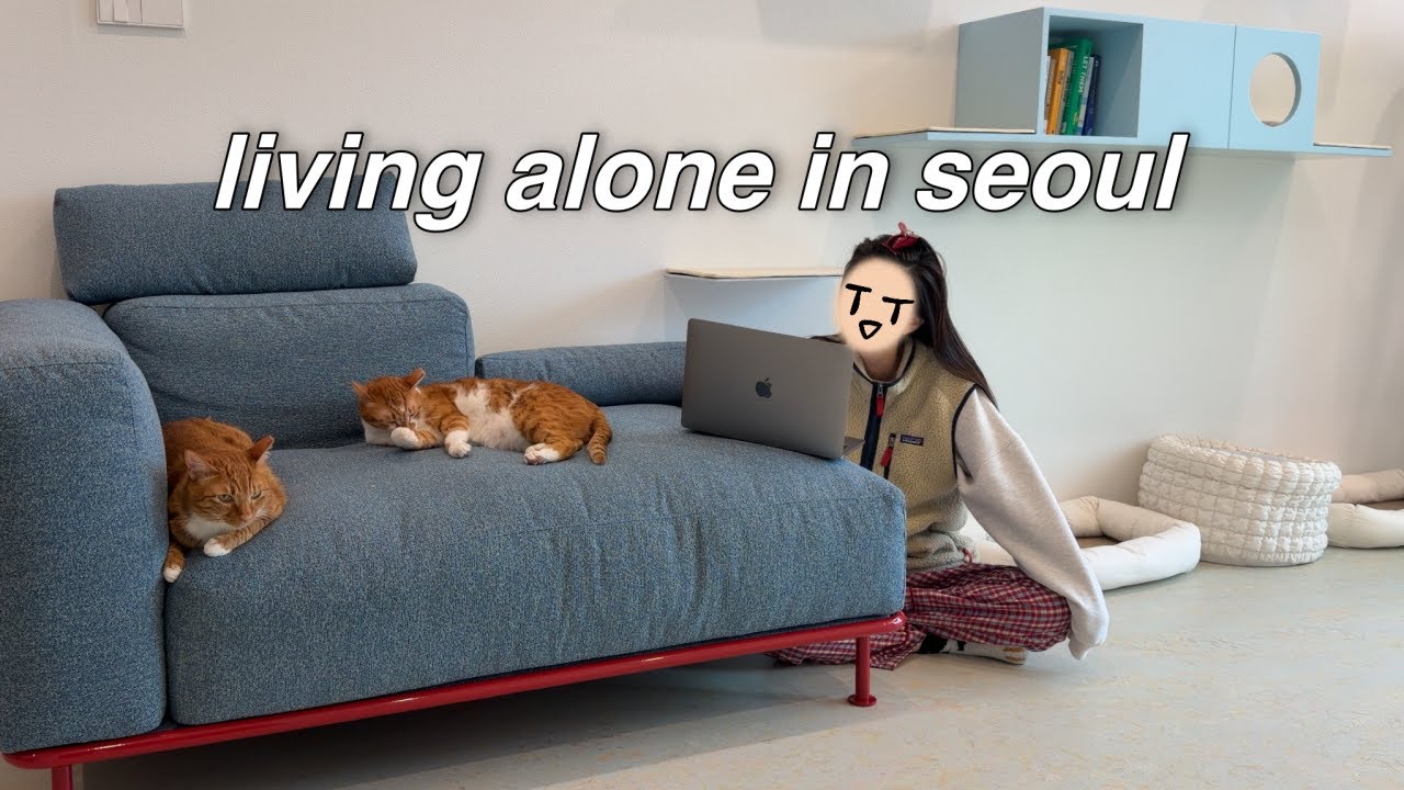 🛋️ 거실 룸투어 : 바닥재, 소파, 블라인드, 캣워커 정보ㅣ밀린 화상영어, 심리상담ㅣ위키드 집착 시작