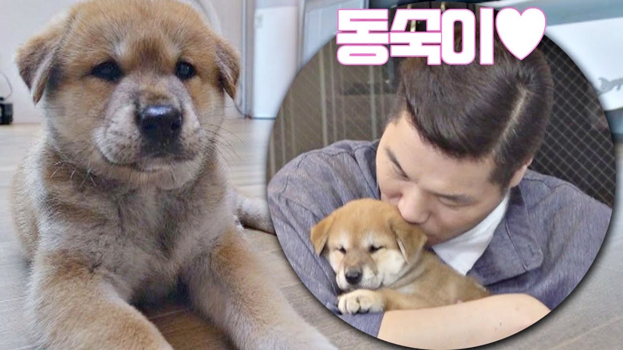 서장훈(Seo Jang-hoon)도 반한 귀여운 시골 강아지 동숙이🐶❤️ 유랑마켓(yurangmarket) 26회