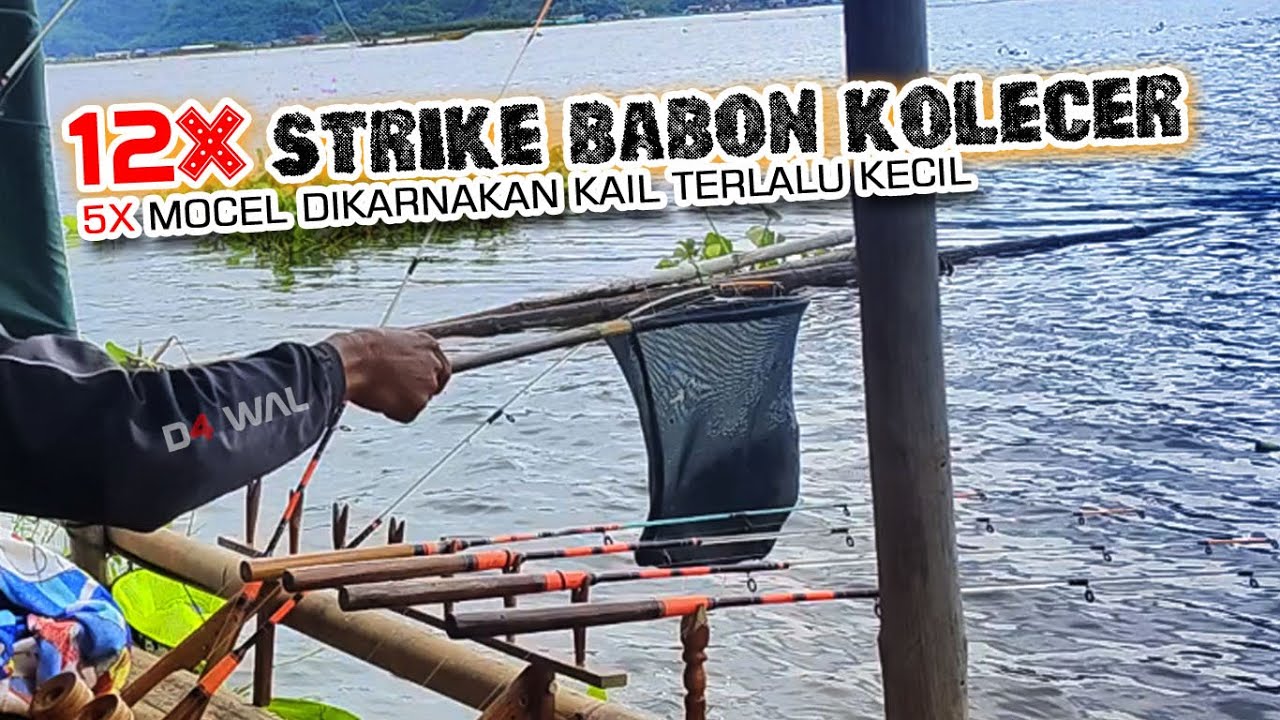 GAWAT.!! INI SPOT BABON GUNAKAN KAIL BESAR JIKA MANCING D SPOT INI - KAIL KECIL SANGAT RENTAN MOCEL
