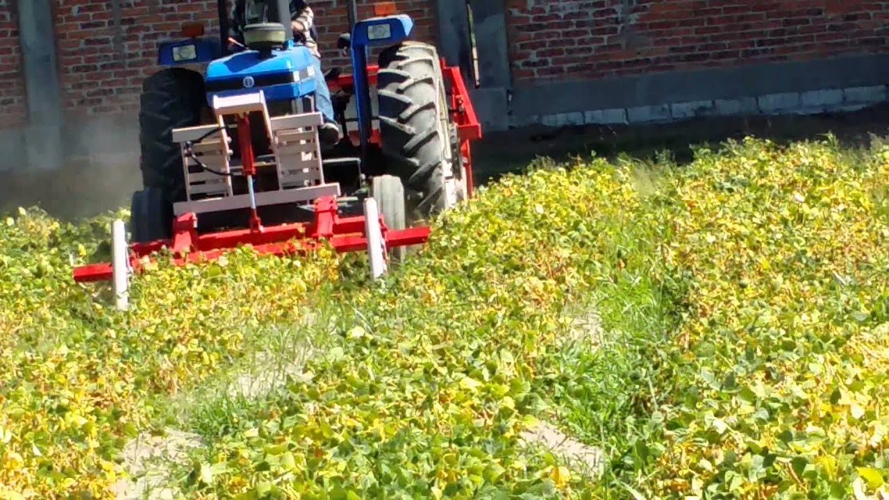 Cortadora de frijol y garbanzo AGROTRAC RAESSA tel 4981049769 y 4611097130