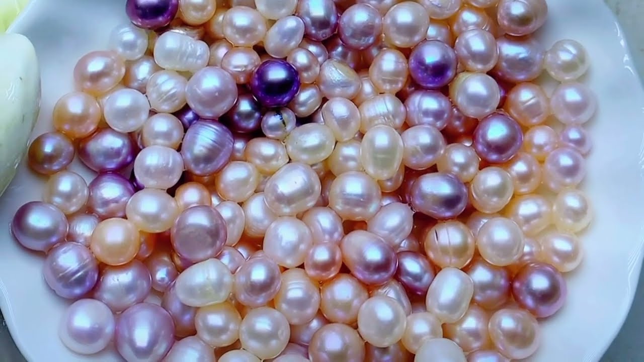 &ldquo;High-Yield Freshwater Pearl Farming | Natural Pearl Cultivation Techniques&rdquo;