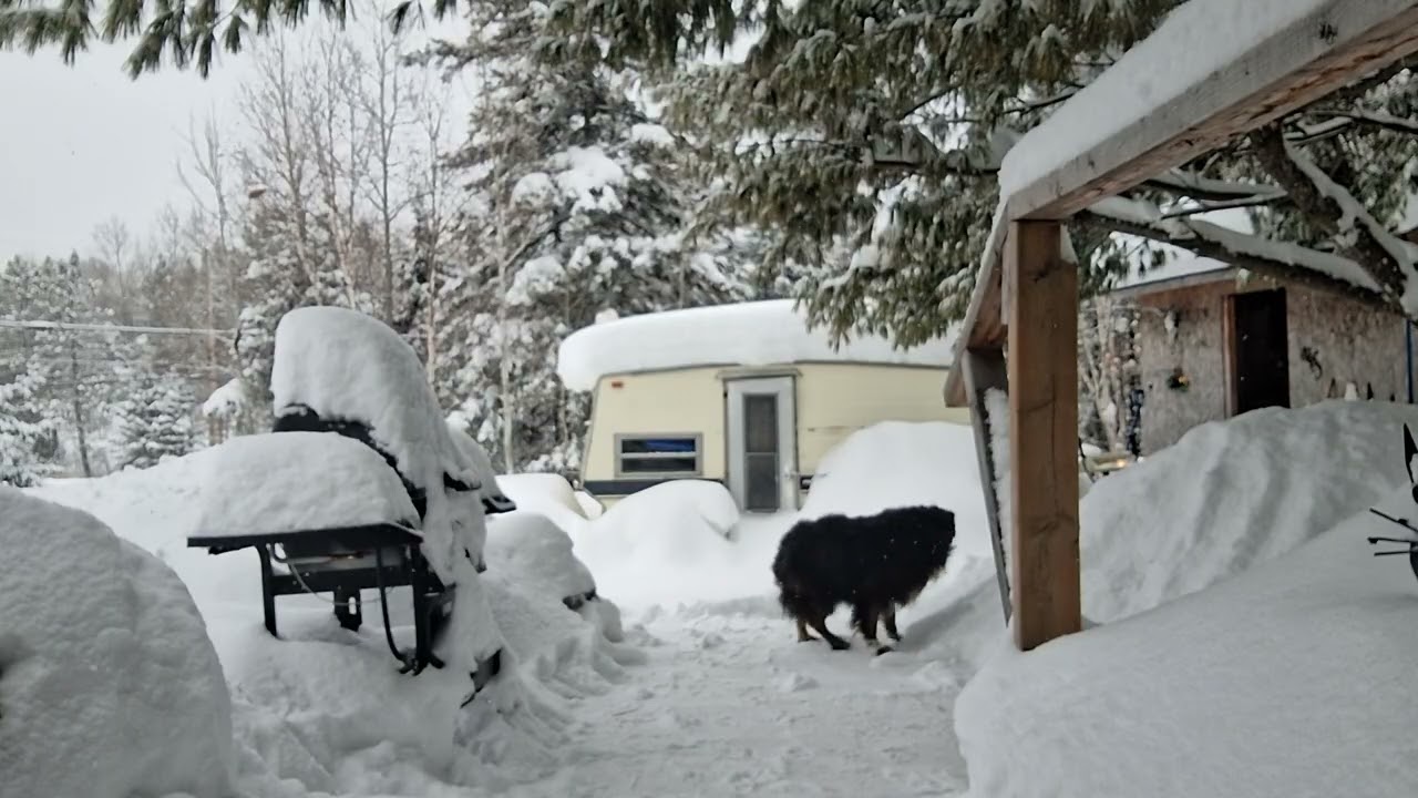 Cleaning up!! # #outdoorlife #nature #snow #snowscenes #snowclearer #doglovers 