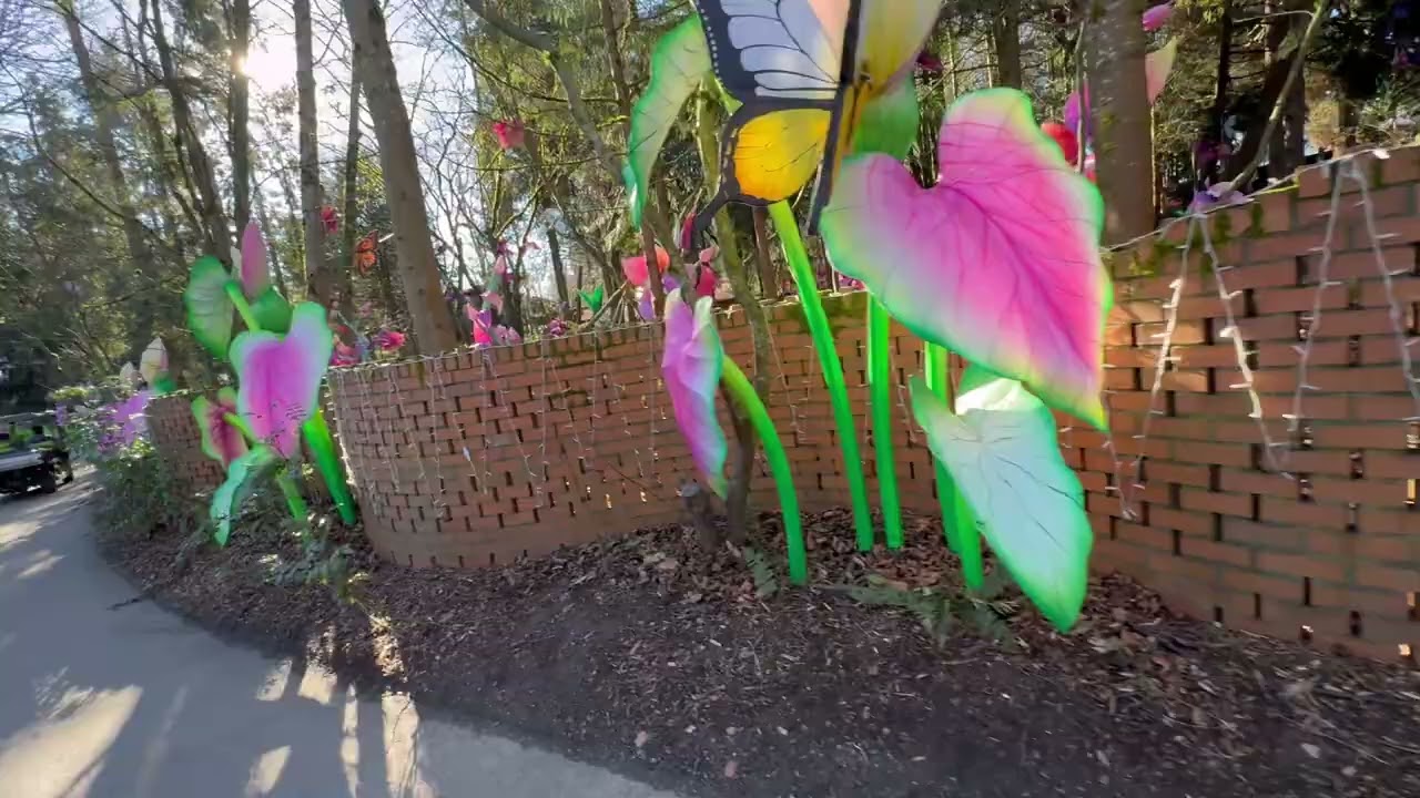 Woodland zoo Washington walking tour 
