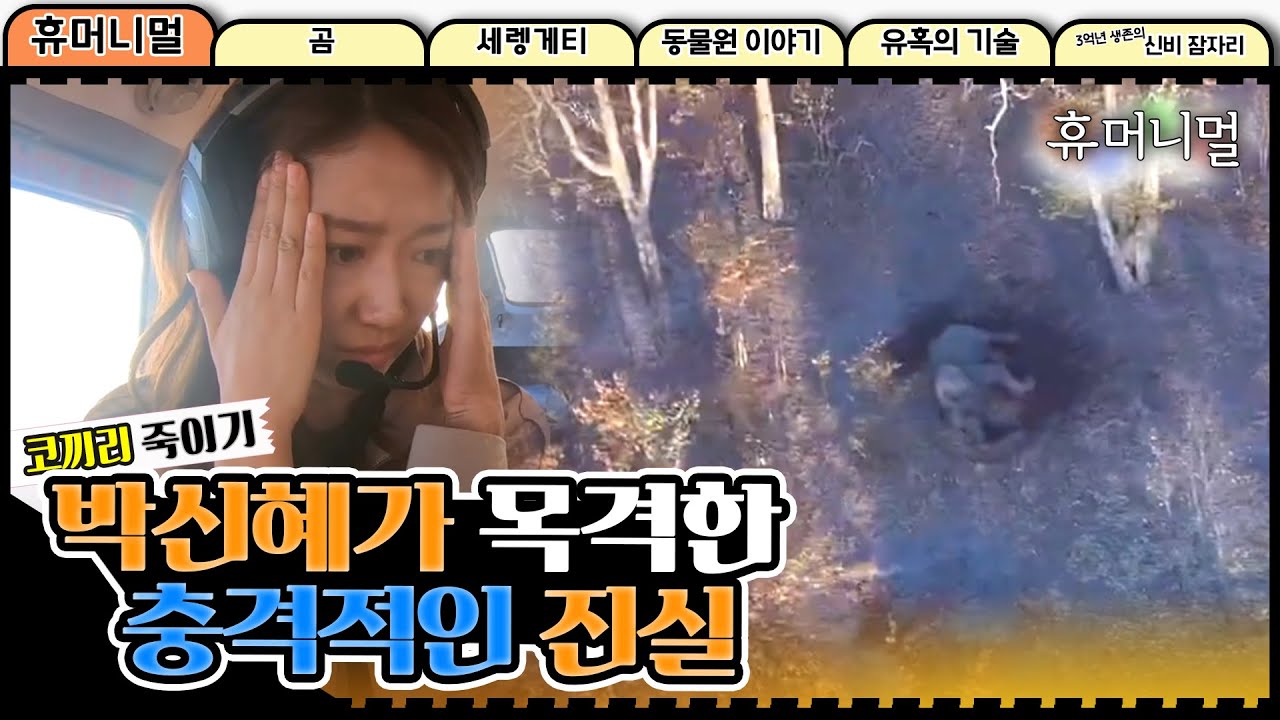 [휴머니멀] 박신혜가 목격한 충격적인 진실... '코끼리의 죽음'