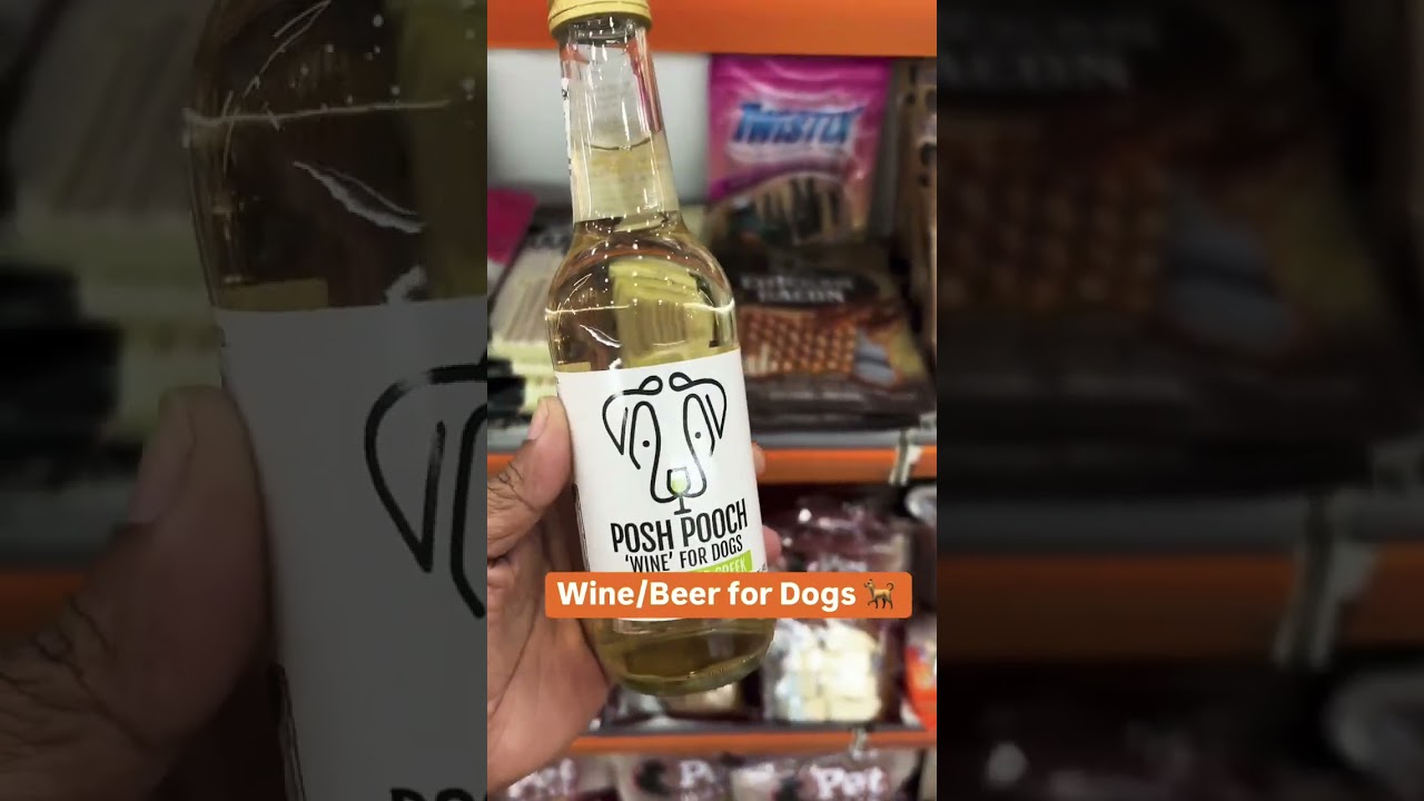 Wine / Beer for Dogs 🐕 