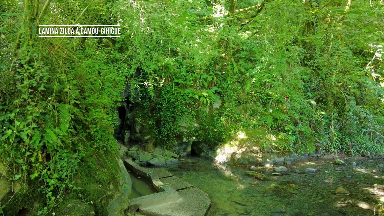 Lamina Ziloa à Camou Cihigue