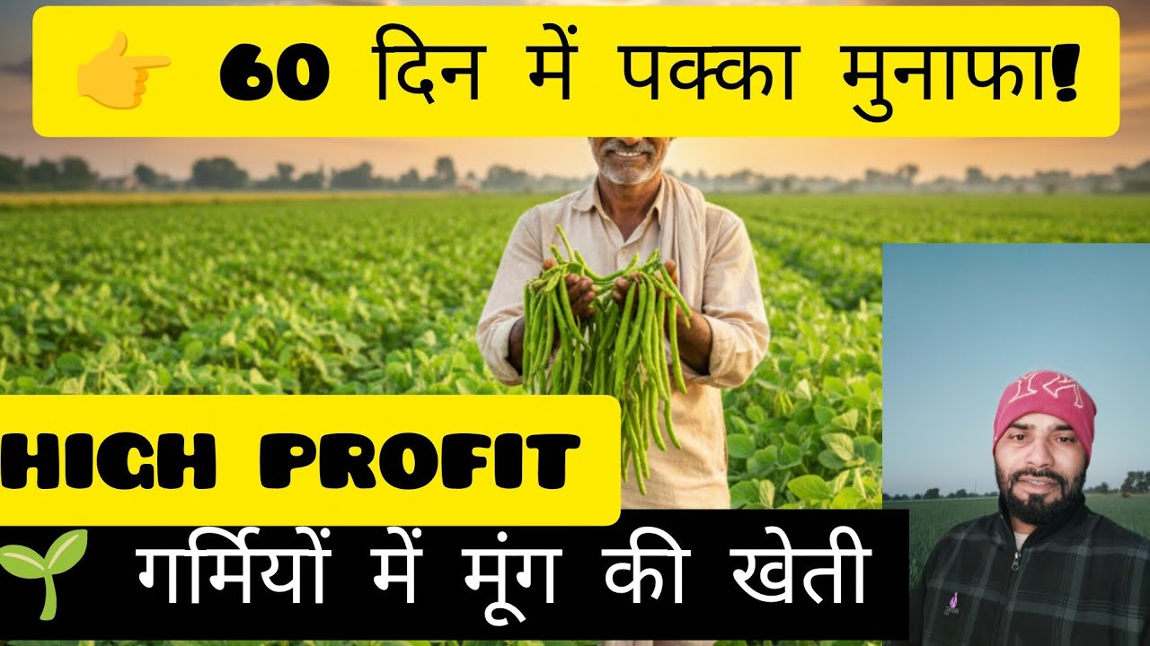 👉 गर्मियों में मूंग की खेती | 60 दिन में पक्का मुनाफा | Moong Farming Complete Guide #Desikishanguru