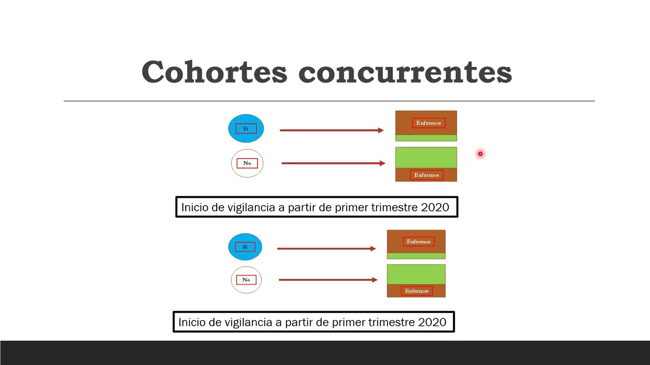 Principales diseños en estudios de causalidad