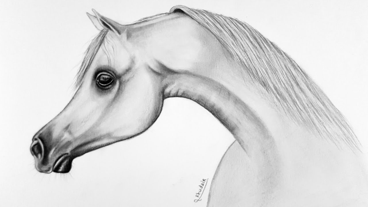 كيفية رسم حصان بأقلام الرصاص خطوة بخطوة