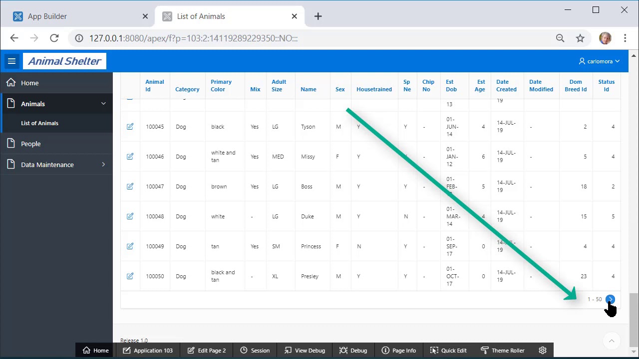 APEX 19.1 13 Put navigation buttons at the top & bottom of a report.  Change an LOV to radio group.