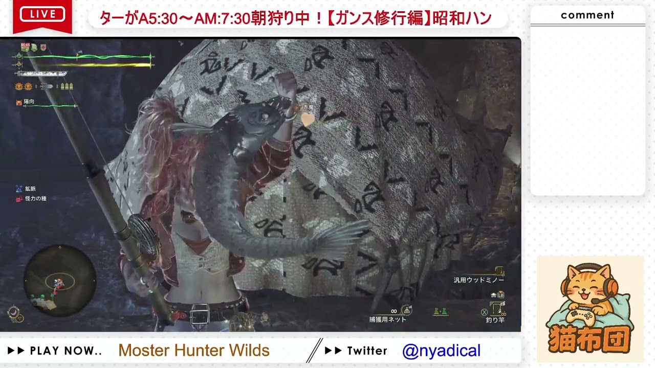 #255【MH:Ws】昭和ハンターが泣きながら朝狩り中【ガンス修行編】