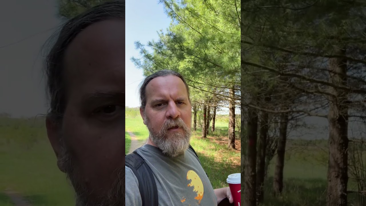 Появился новый вид &mdash; гибрид койота и волка, &mdash; но как это возможно? Койоты не могут скрещиваться с...