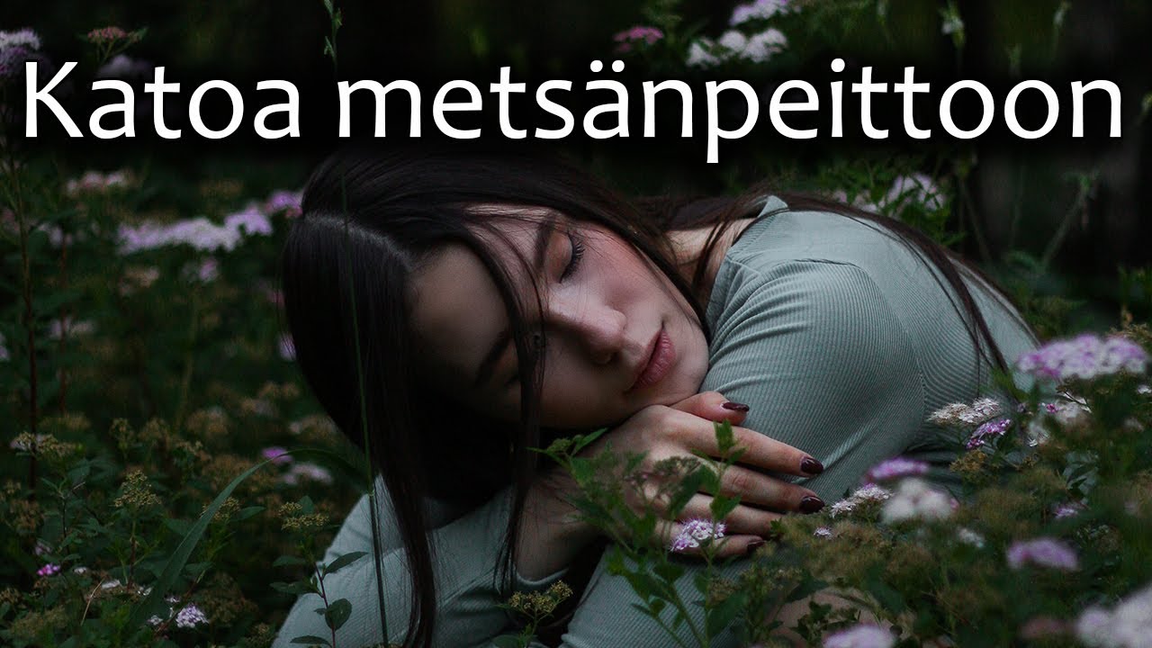 💙 Kohdistettu meditaatio - Maadoittava metsänpeitto