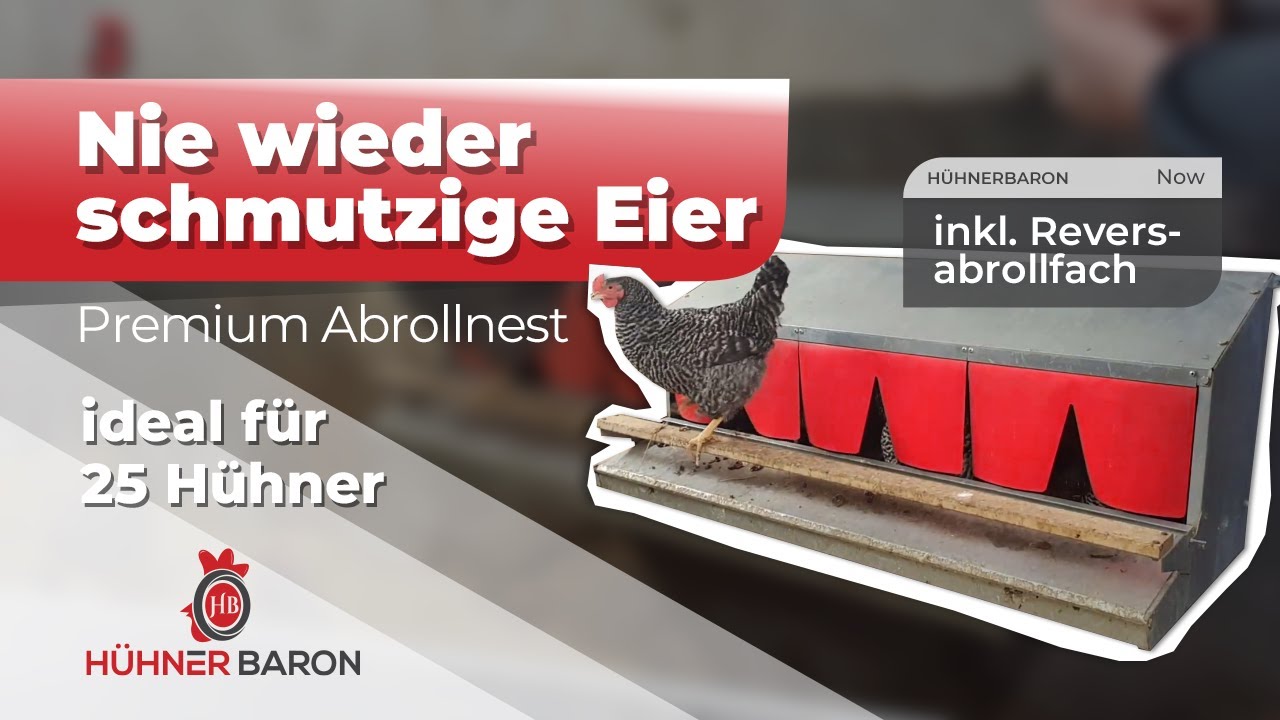 Warum Hühner das Premium Legenest lieben | Saubere Eier dank HÜHNERBARON®