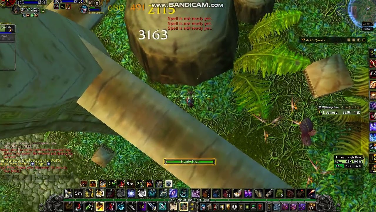 Solo Hunter Survival Zul'Gurub Wow WOTLK Clasic Droped Swift Zulian Tiger