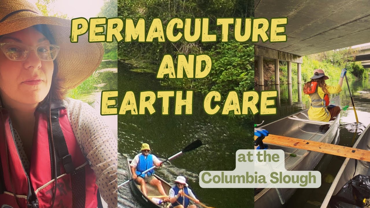 Nature in the City:  Permaculture 