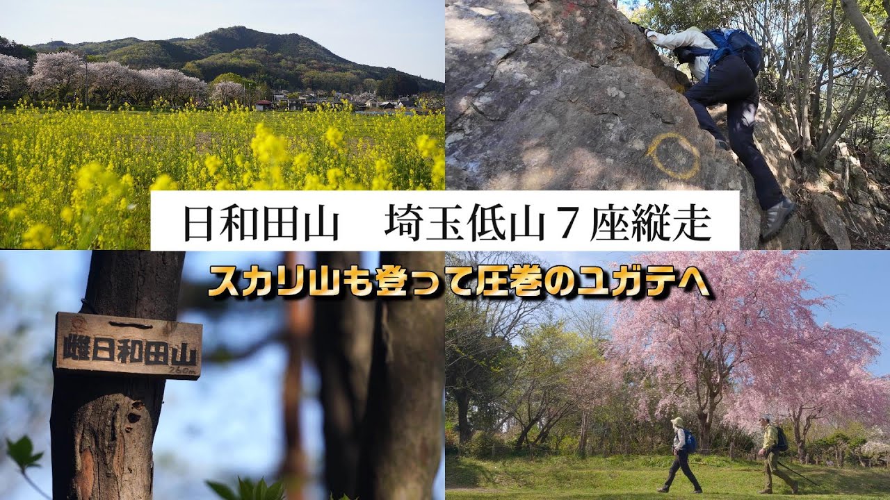 【埼玉県奥武蔵】春の日和田山 宿題解決とユガテの本気【シニア夫婦のゆる登山日記No104】