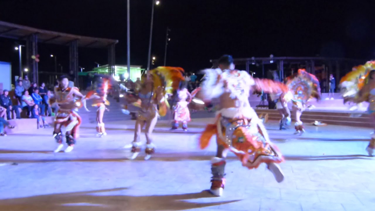 Fraternidad Internacional Tobas Jaguares - Ñusta Salli Mamani 2020