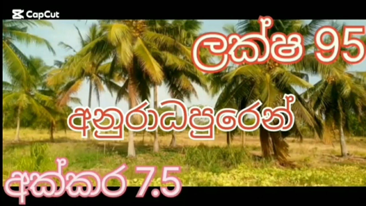 ලක්ෂ 95 කට අනුරාධපුරෙන් අක්කර 7.5 Supun sada home lend 0778027856