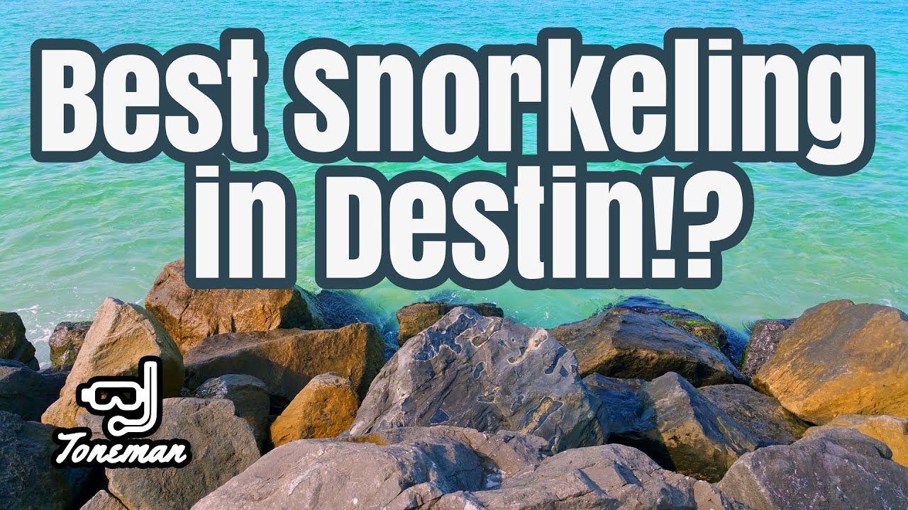 Best Snorkeling in Destin Florida?!!