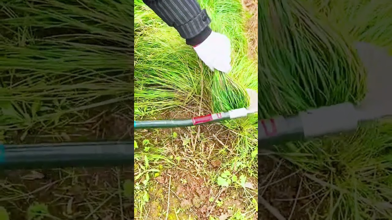 Earth&rsquo;s Fresh Start: The Ultimate Weed Clearing Satisfaction! 🌿⛏️ #farmoratv #nature #asmr