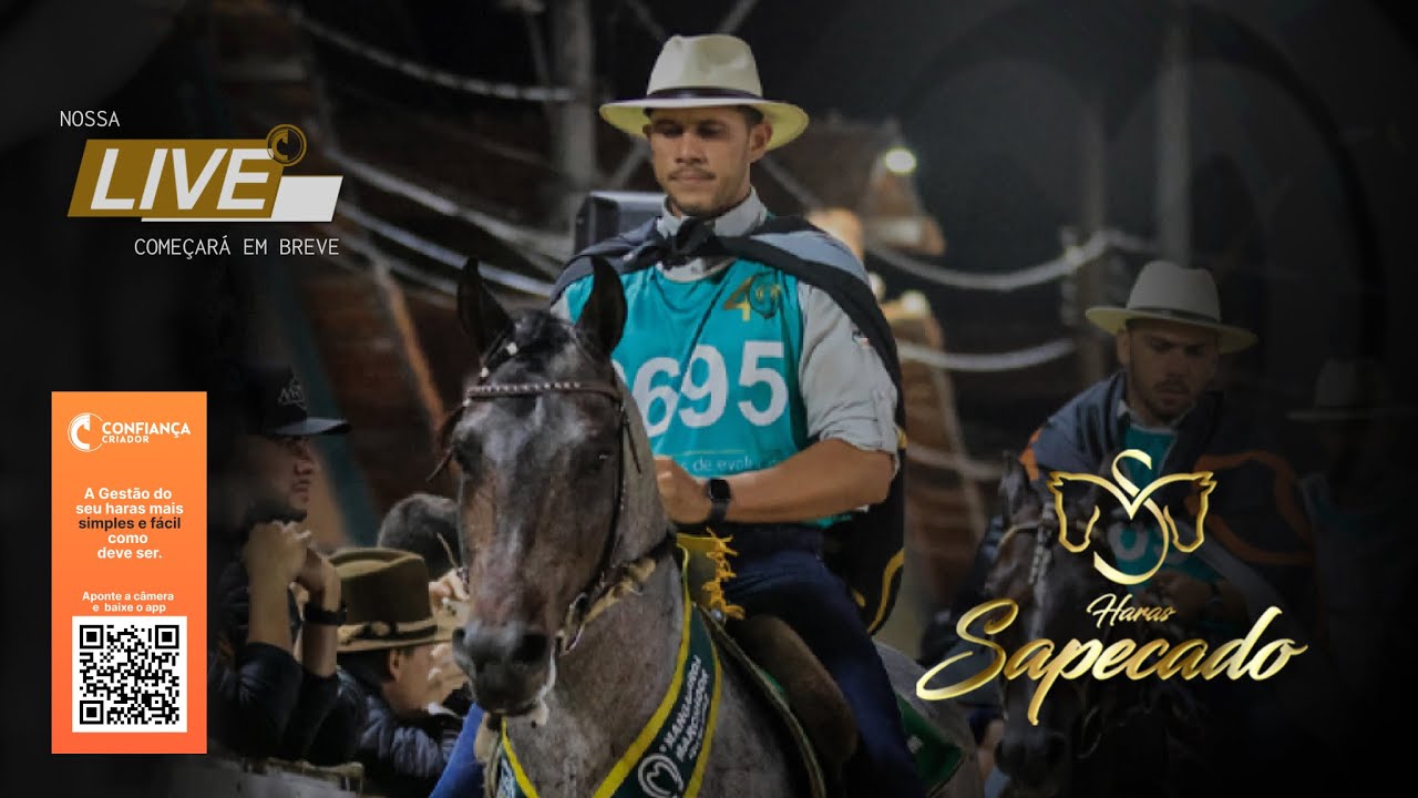 Live Haras Sapecado