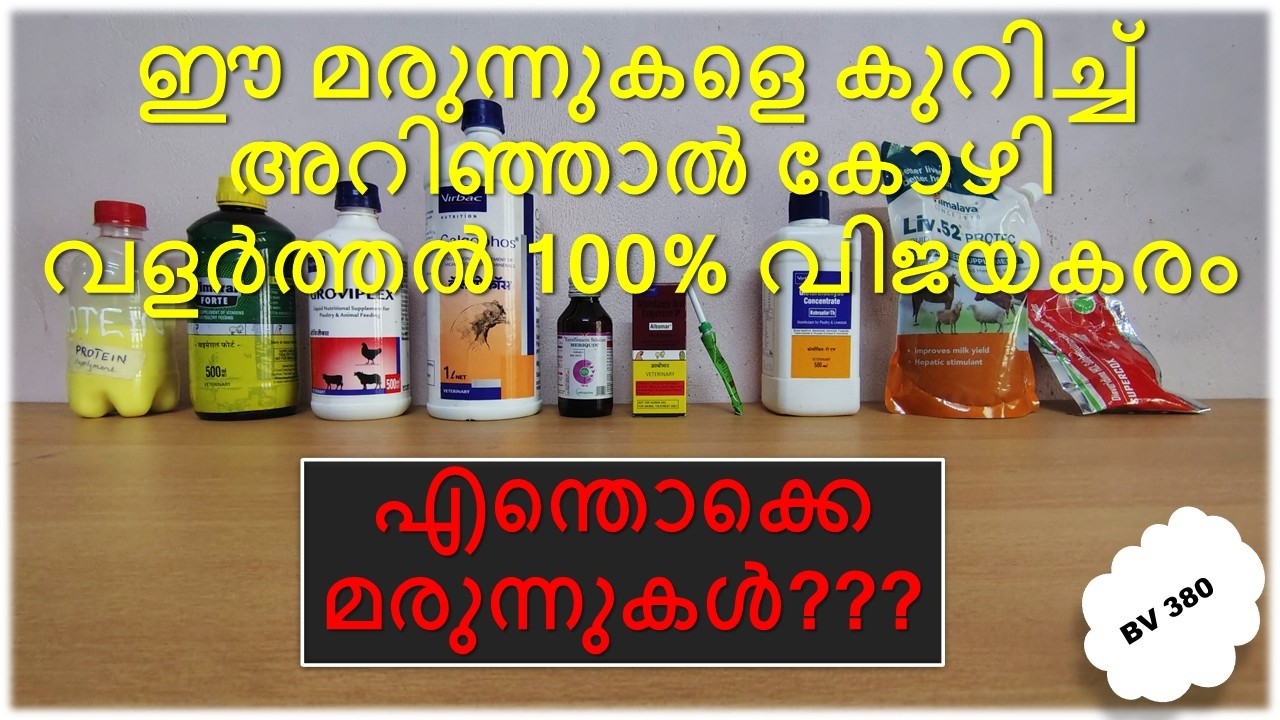 കോഴികൾക്ക്  അസുഗം വന്നാൽ എങ്ങനെ ചികിൽസിക്കാം ... അറിയേണ്ട മരുന്നുകൾ ഏതെല്ലാം.